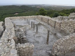 Yacimiento de la Almoloya 2023